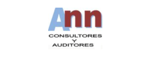 Ann Auditores Y Consultores