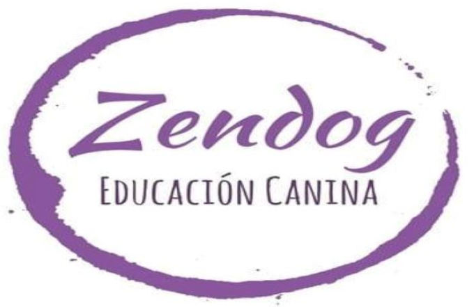 Imagen descriptiva de EDUCACIÓN CANINA